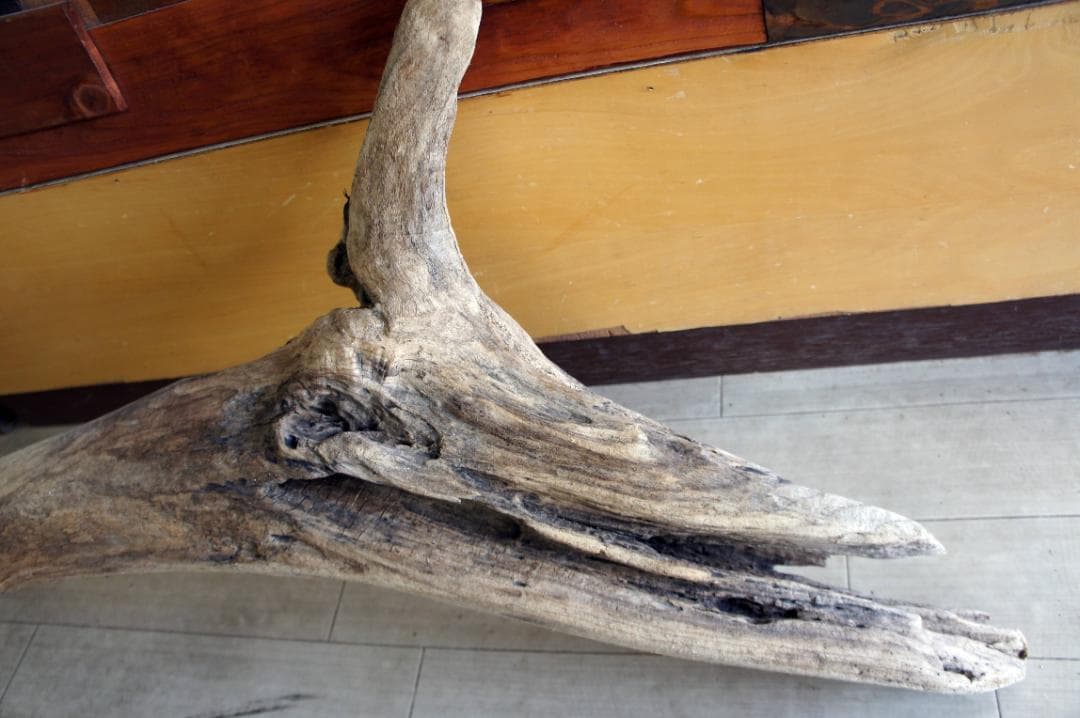 流木 インテリア 大型サイズ オブジェ　飼育ケージ 登り木 爬虫類 送料無料