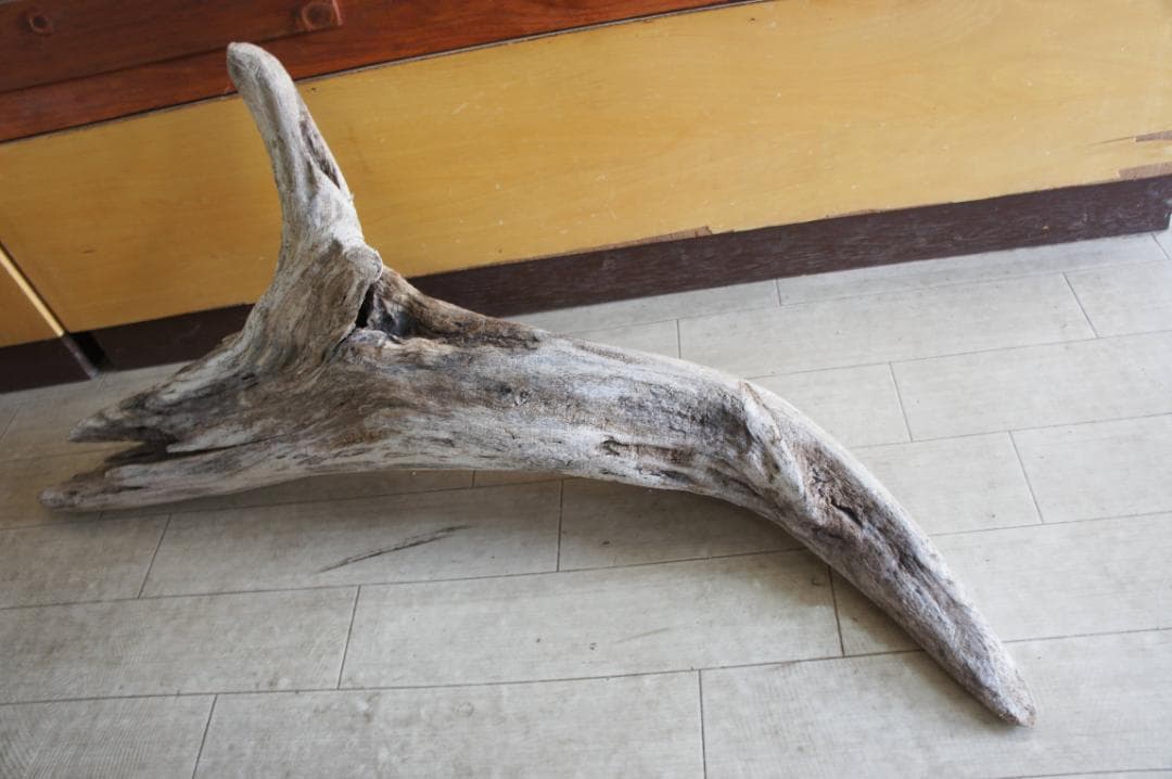 流木 インテリア 大型サイズ オブジェ　飼育ケージ 登り木 爬虫類 送料無料