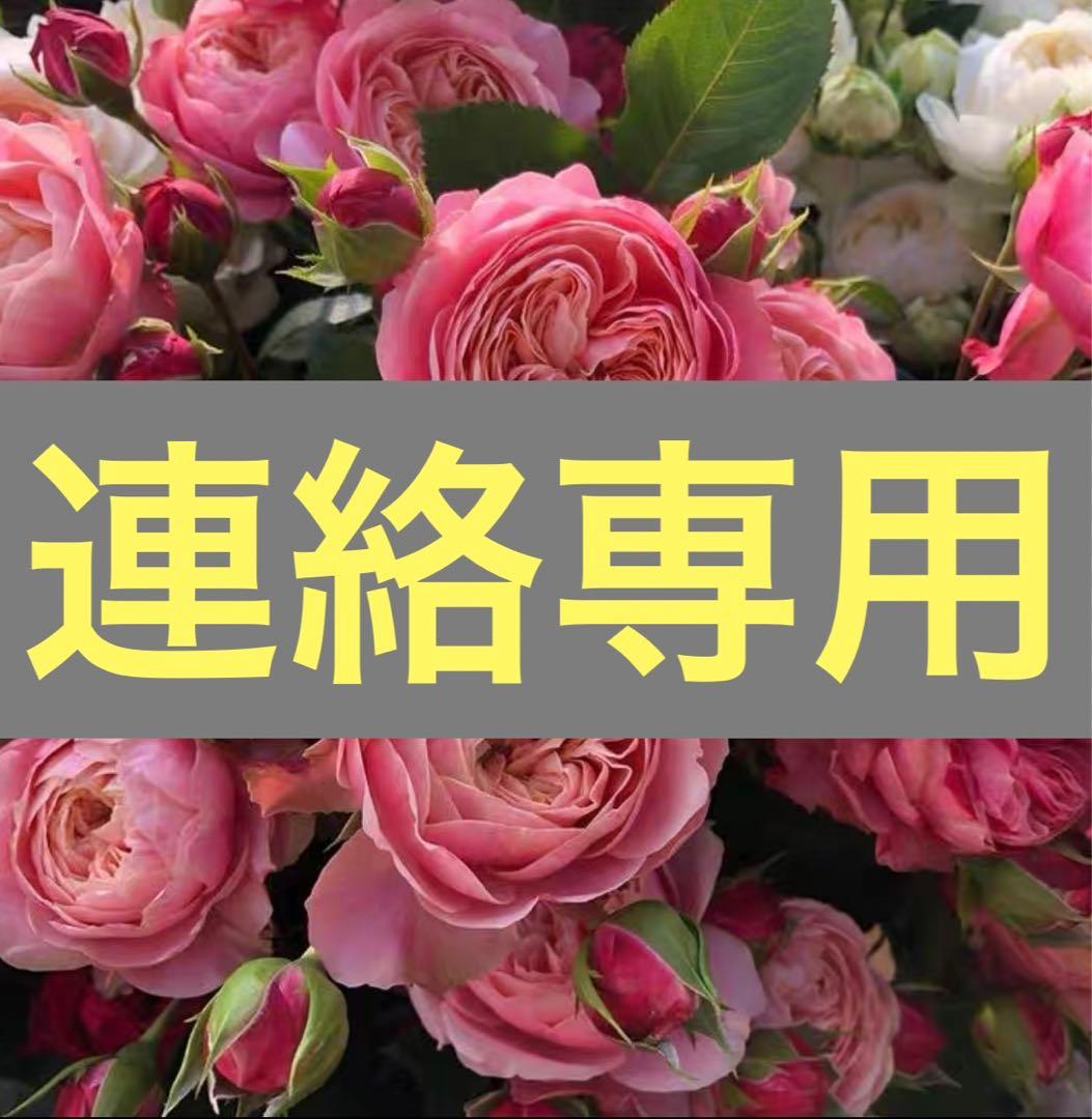 連絡専用ページ