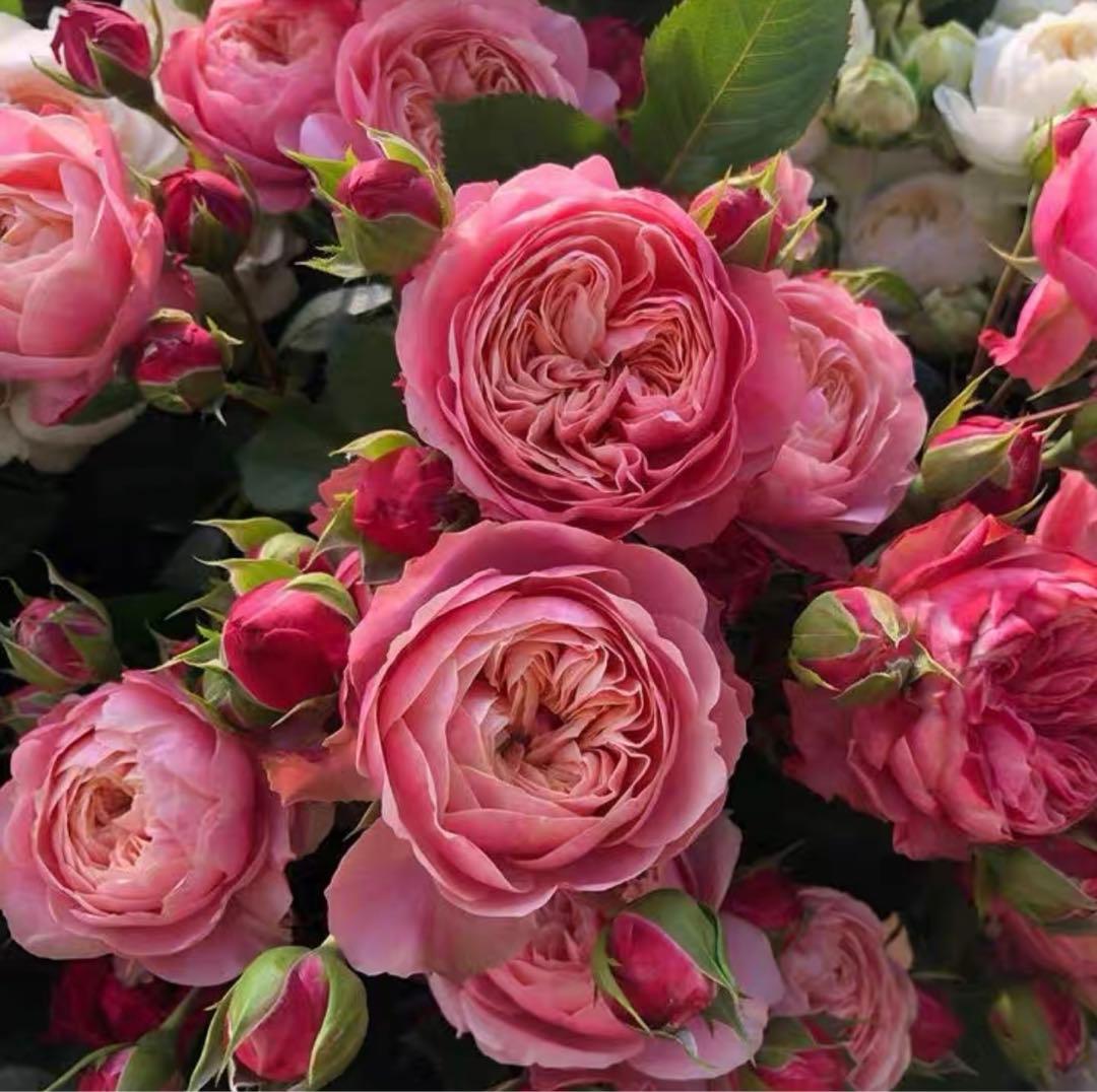 連絡専用ページ