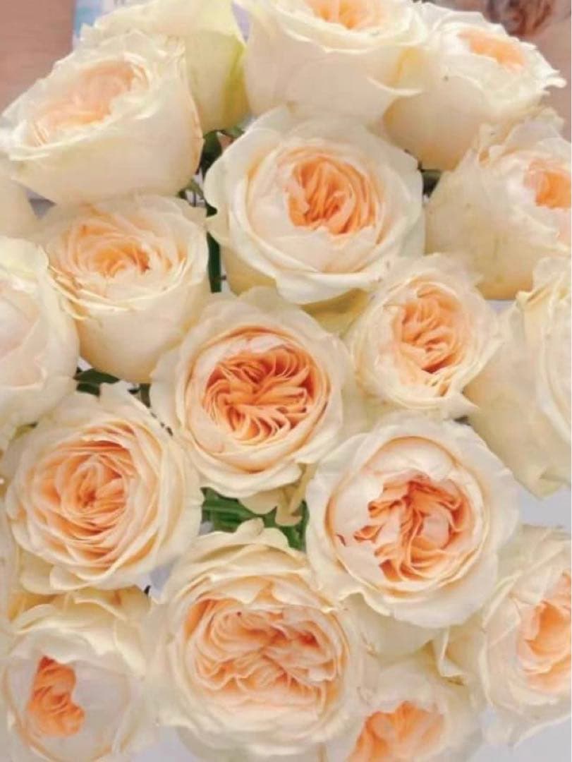 連絡専用ページ