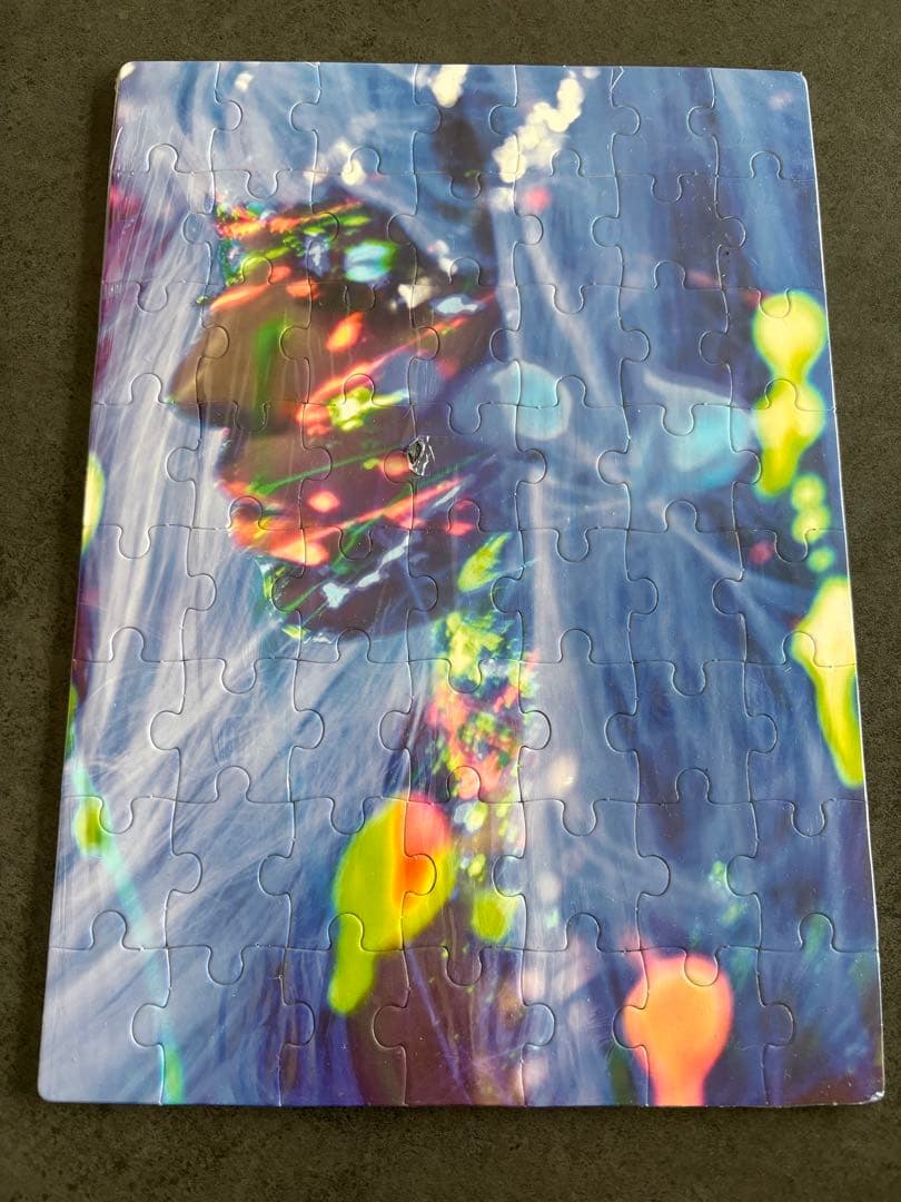 超激レアレディーガガ The fame monster完全限定10000枚