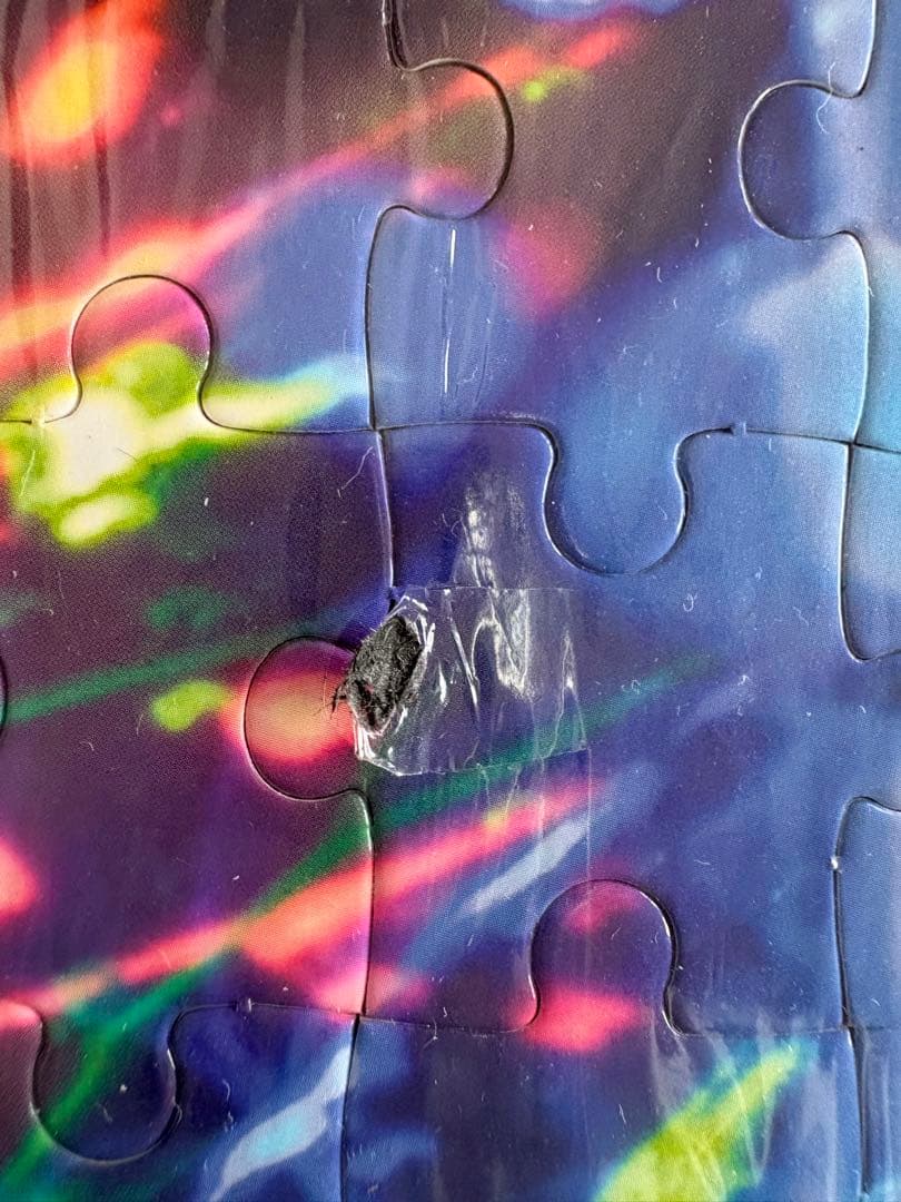 超激レアレディーガガ The fame monster完全限定10000枚