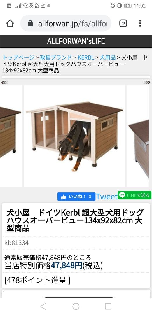 室外用 犬小屋