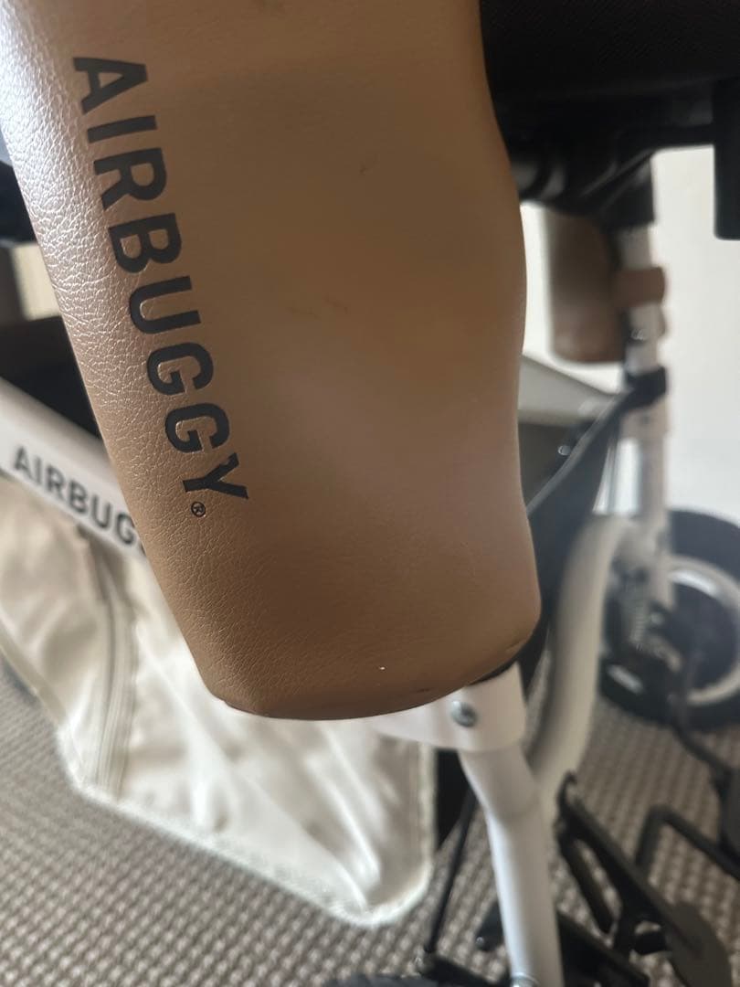 エアバギー　ドーム3 ラージ