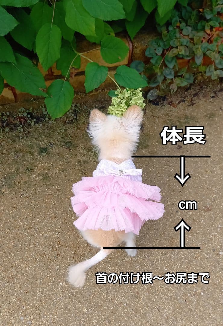 Akapon様ご購入専用ページ♥️　チワワ　ぬいぐるみ　　リアル　カズコオガワ