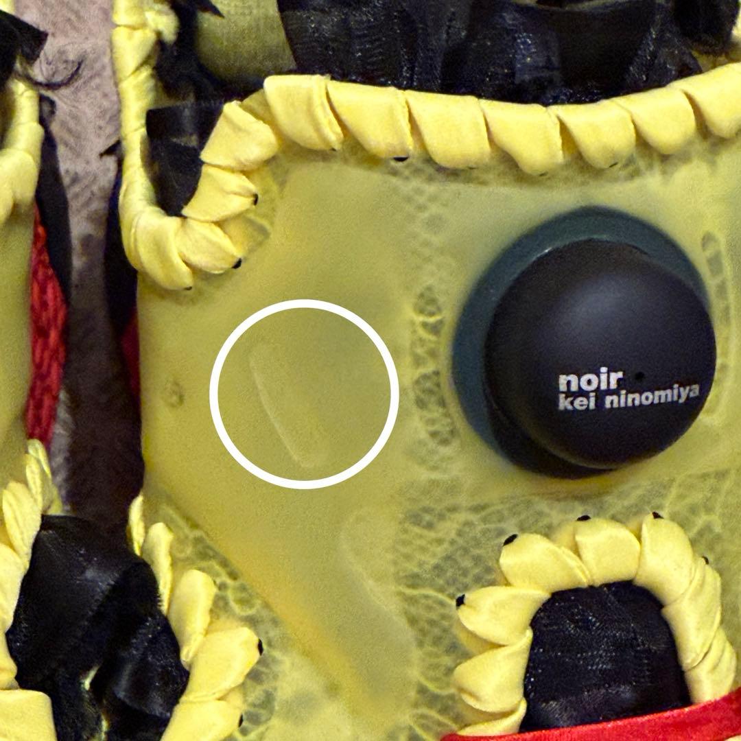 25cm リーボックコラボ　インスタポンプフューリー　レース