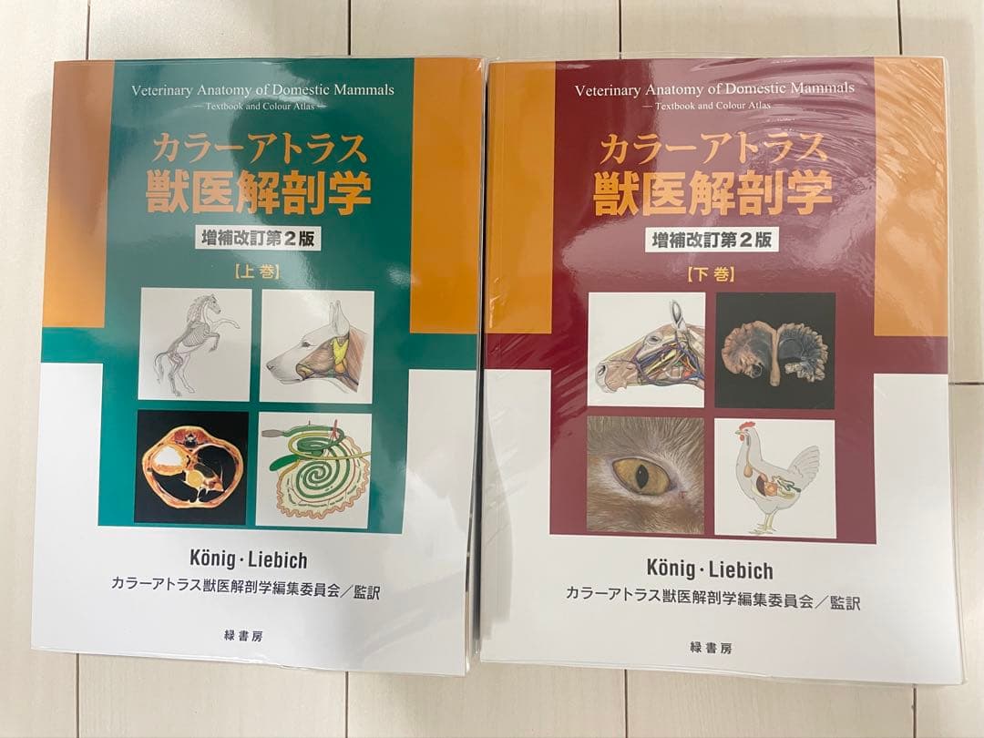 カラーアトラス 獣医解剖学 増補改訂第2版 上下巻セット