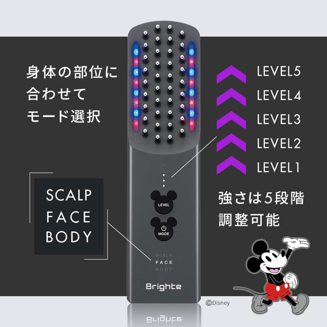 ディズニー Brighte ブライト ELEKI BRUSH+ エレキブラシ