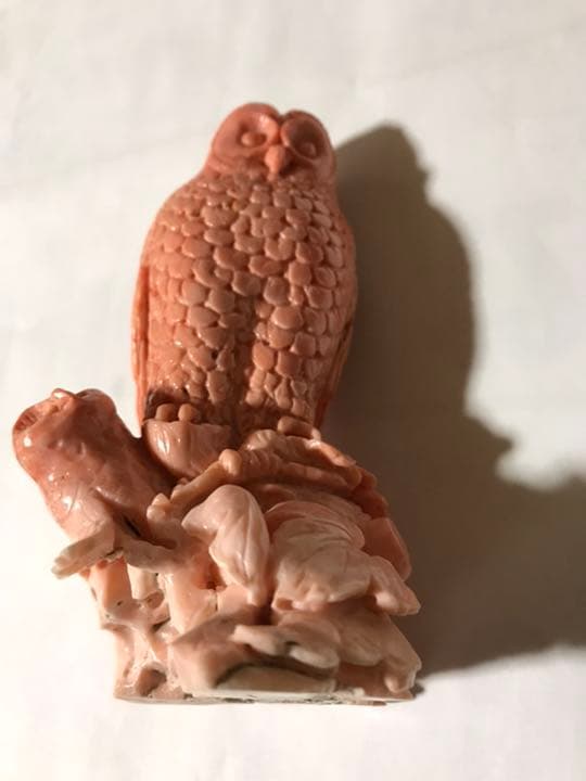 珊瑚　フクロウ　大きめ　476g