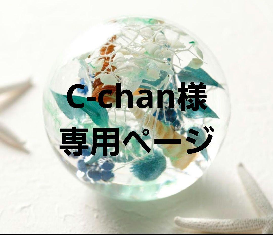 アクリル型+3Dプレミアム専用ページ