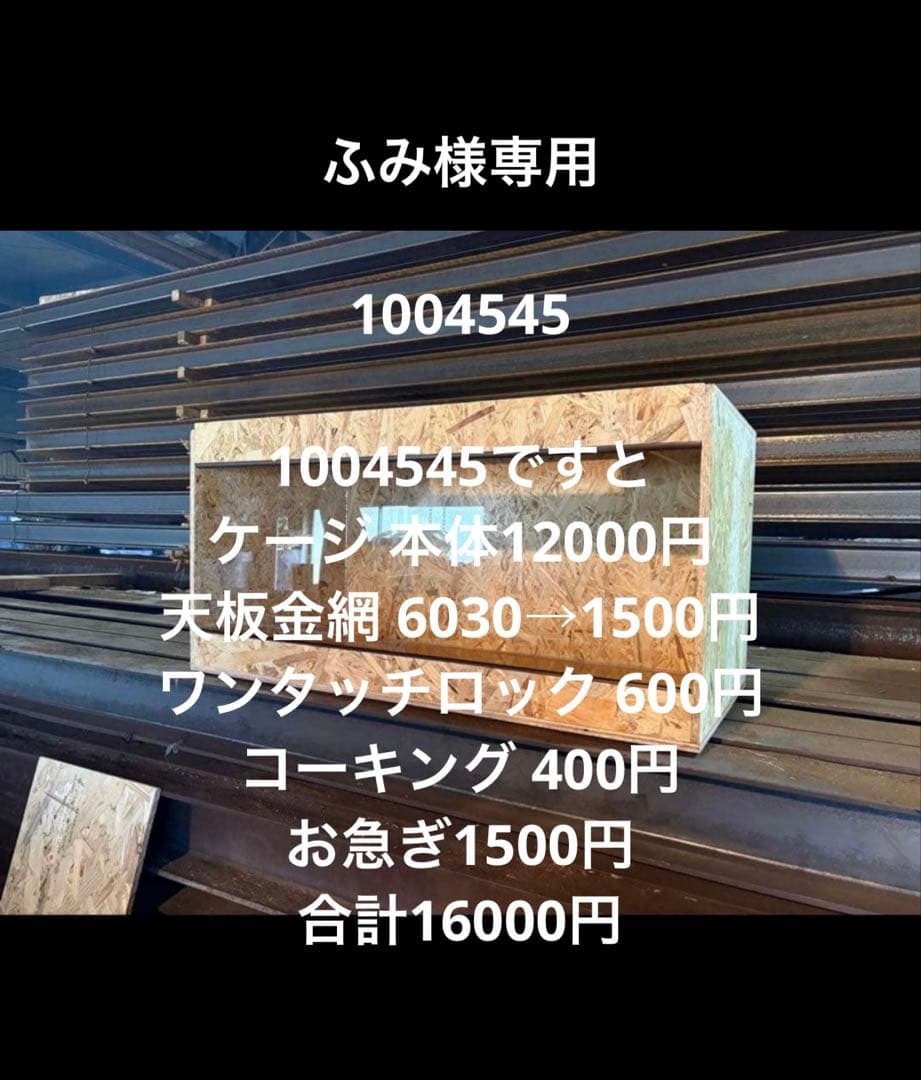 ふみ　1004545 お急ぎ