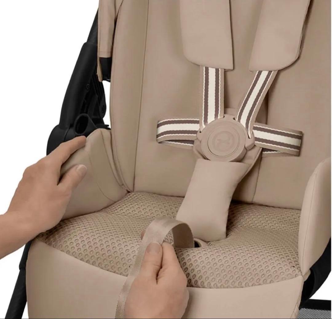 【限定モデル】メリオカーボン 2025 サイベックス　インレイ 新品未使用