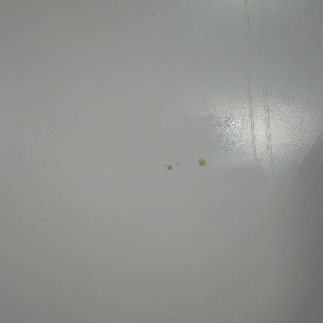 DB Skimboards 2022 標準プロトスキムボード