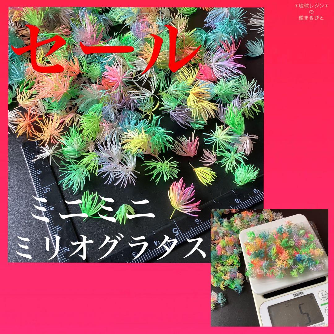 在庫セール❣️ミリオクラダス　カラフルレジンセット