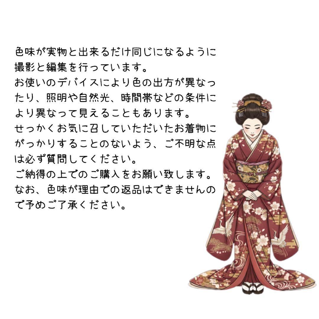 豪華　振袖5点セット　トールサイズ　古典柄　裄丈69cm　163〜173　成人式