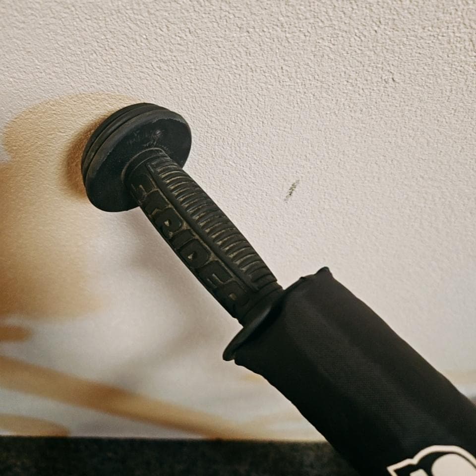 【美品】ストライダー　12　日本正規品　赤　キックバイク