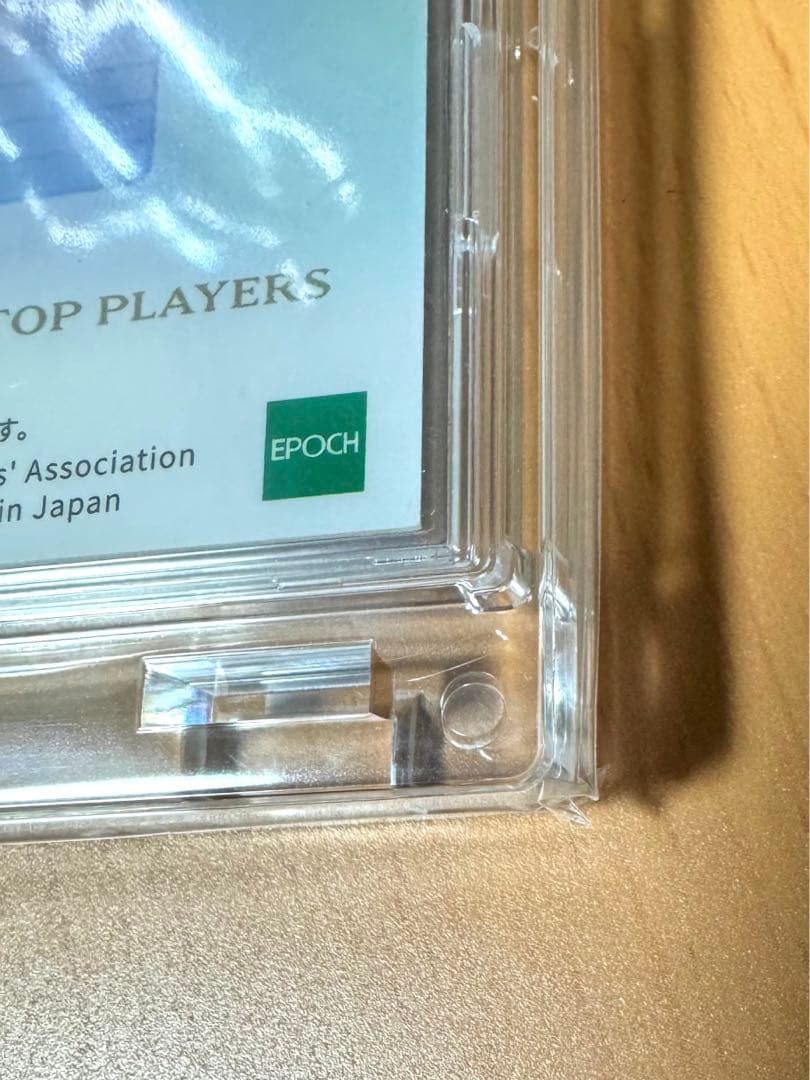 2023 JLPGA Top Players 渋野日向子 5シリ