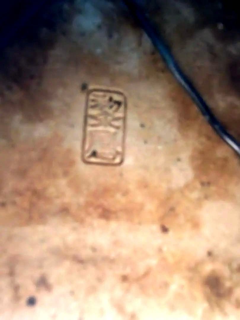 琉球盆栽　希少　島桑　桑　小品盆栽　実物　黎鳳　鉢