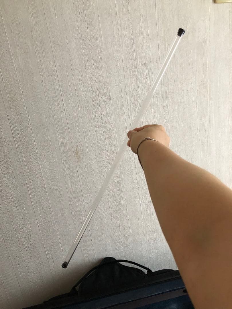 Carlo giordano VS-2 バイオリン本体 茶色 ケース付き