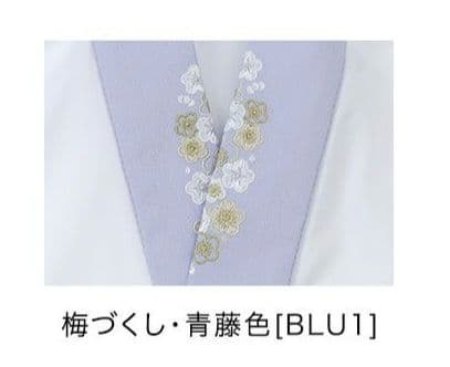 Catherine Cottageレース着物袴セット160(肌襦袢・髪飾り付き)
