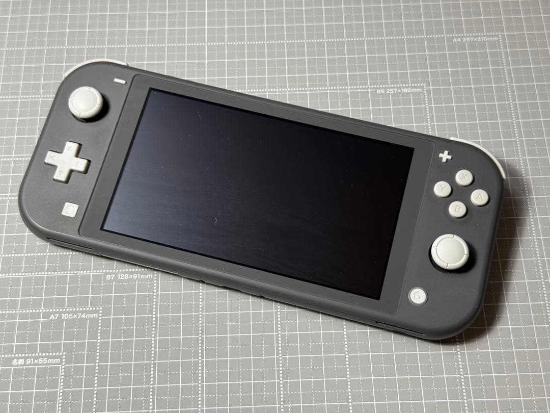 Nintendo Switch Lite グレー 本体 HORIケース付き