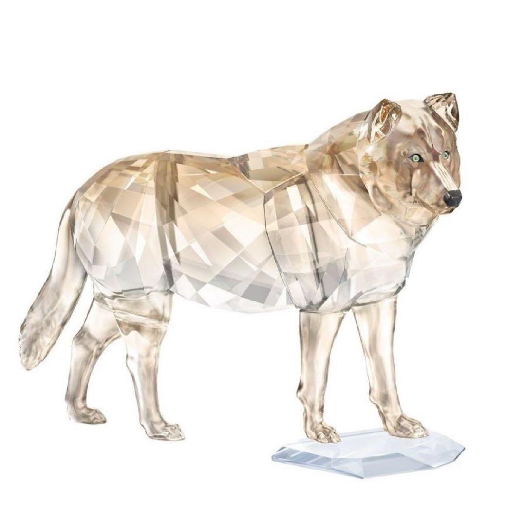 Swarovski 2019年度 SCS限定品 ハイイロオオカミ 5428544