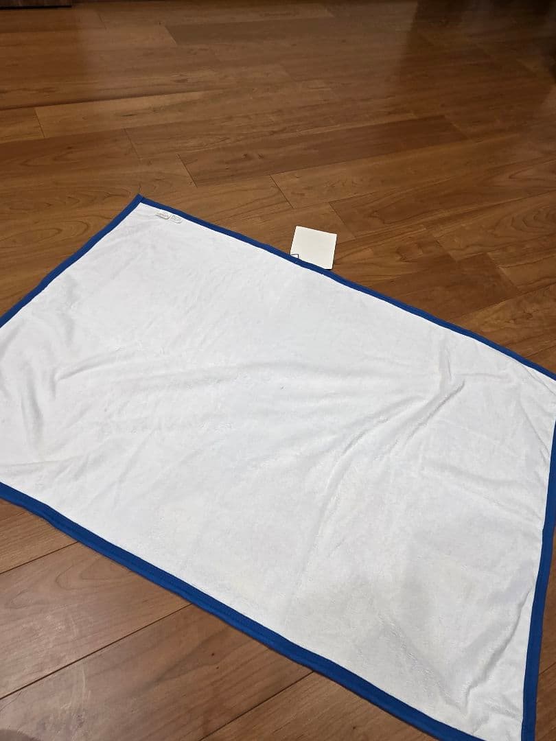 クリスチャン・ラッセン　ブランケット　2枚