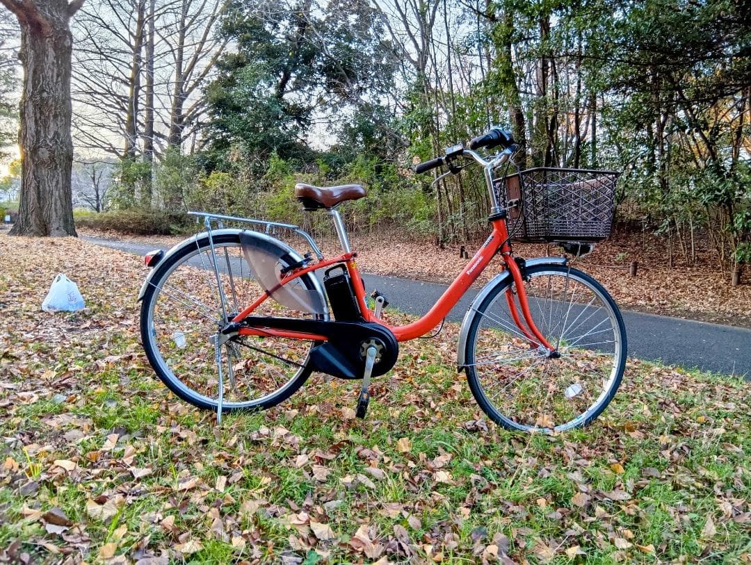 【軽量モデル】Panasonic ビビ・L 2019年製 バッテリー80%以上