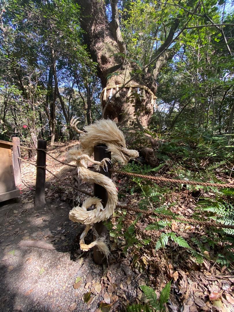 あなたの為に作る龍神Dragon 神聖な麻で作ります