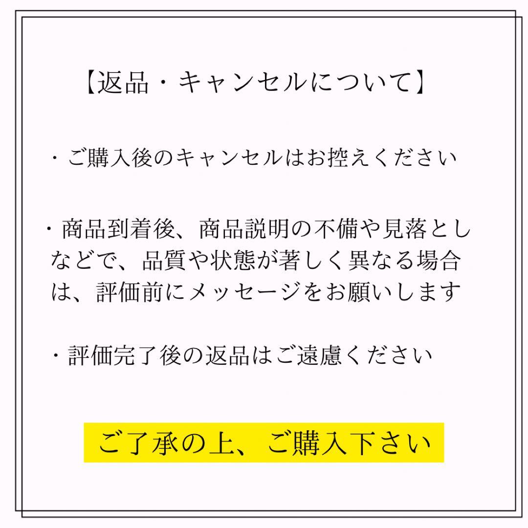 【美品】THE NORTH FACE　ノースフェイス　ヌプシブーツ　18㎝