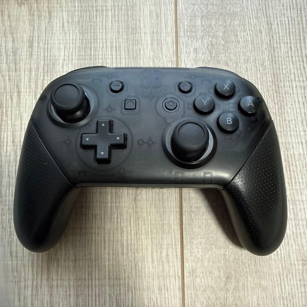 Nintendo Switch あつまれ どうぶつの森デザイン　ソフトなし