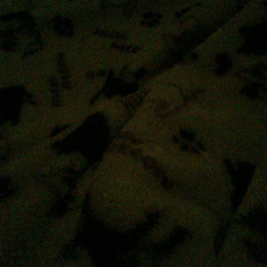 犬用の柔らかい毛布