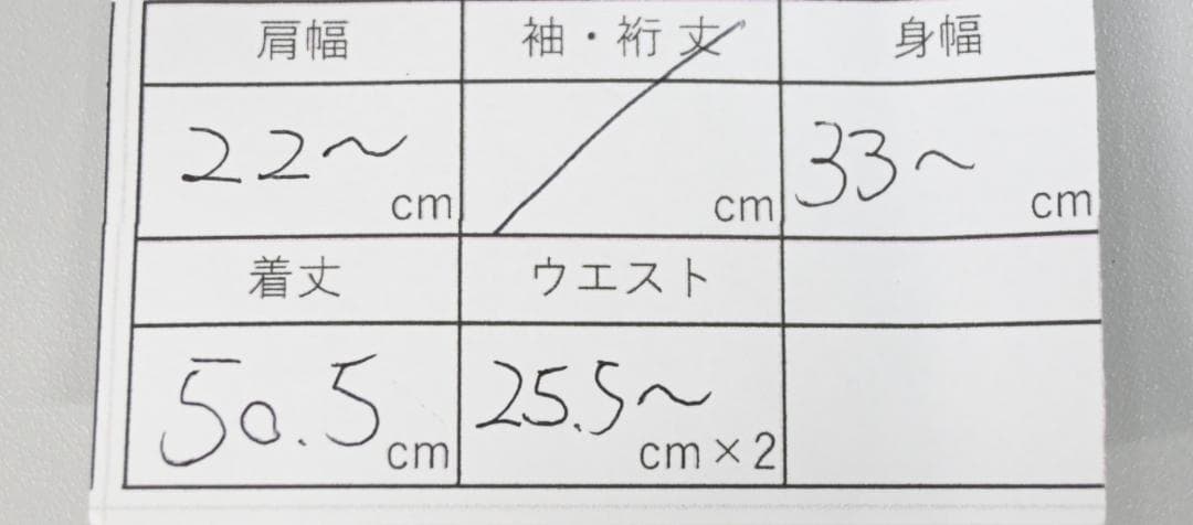 32738★夏 クリスチャンディオール 水着 ワンピース ロゴ
