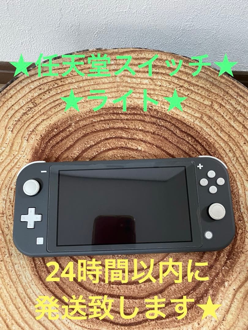 Nintendo Switch Lite グレー　本体のみ