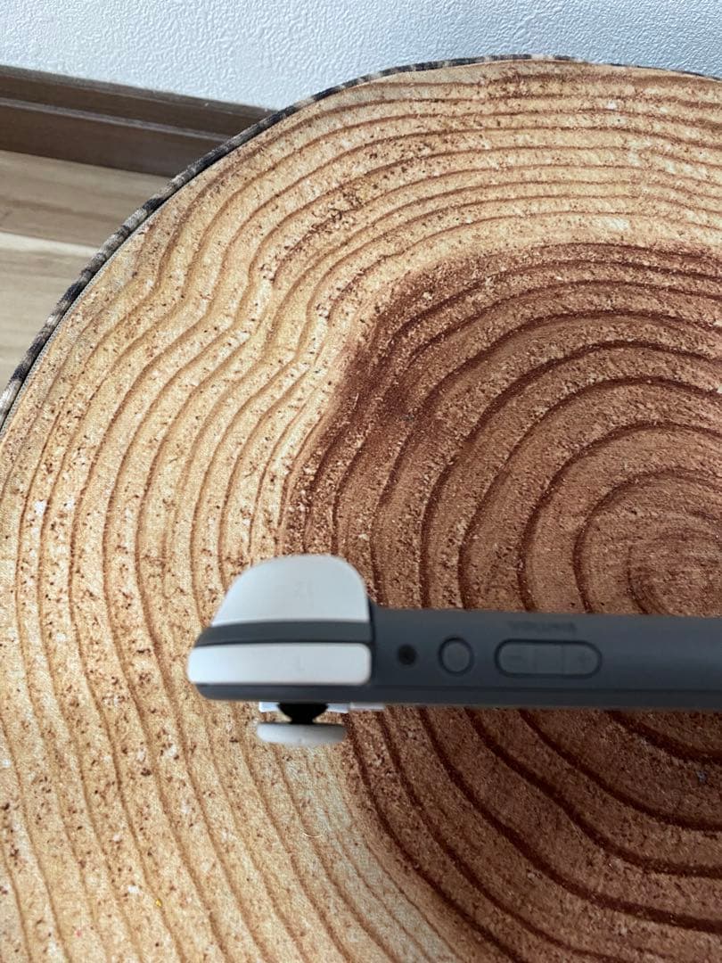 Nintendo Switch Lite グレー　本体のみ