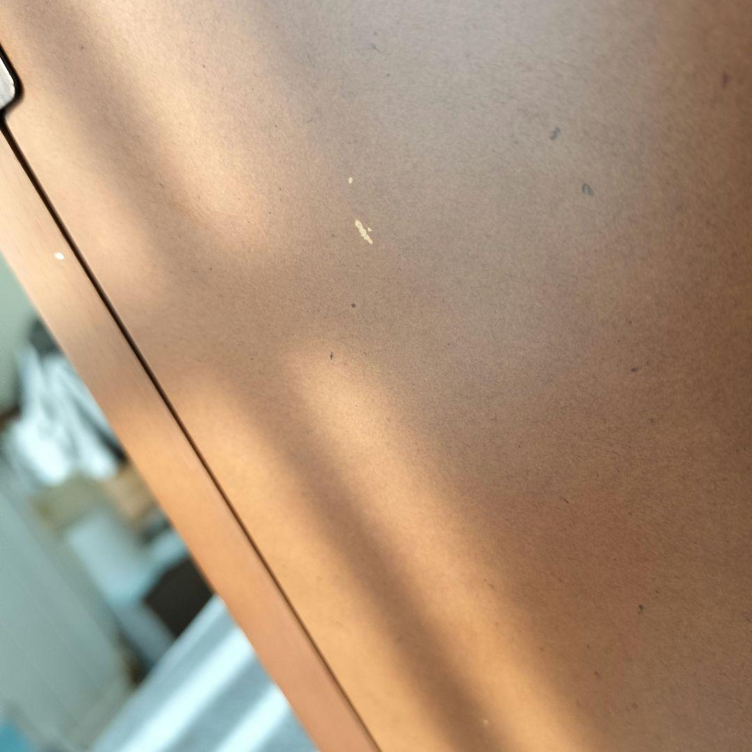 塩川光明堂 コレクションケース カルトーネ AL-A DB ガラスケース