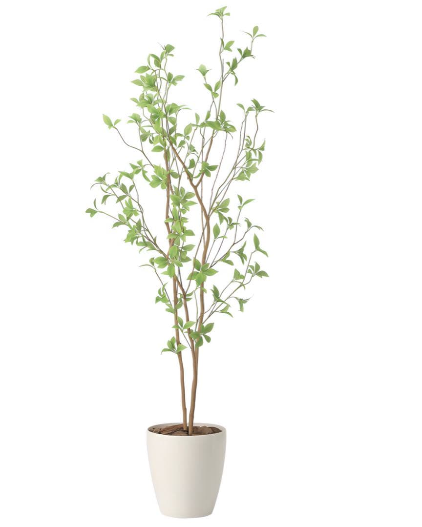 光触媒　人工観葉植物　ウォールグリーン　フェイクグリーン　クロモジ1.6