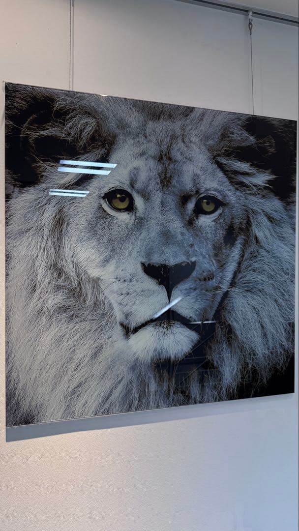 ライオンの顔のガラスアート