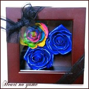 【高級プリザーブドフラワー】オランダ輸入レインボーローズ　ブルーローズ フレーム