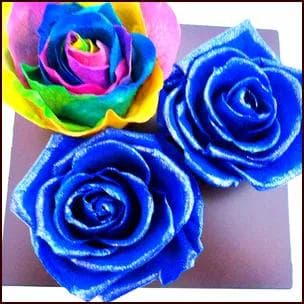 【高級プリザーブドフラワー】オランダ輸入レインボーローズ　ブルーローズ フレーム