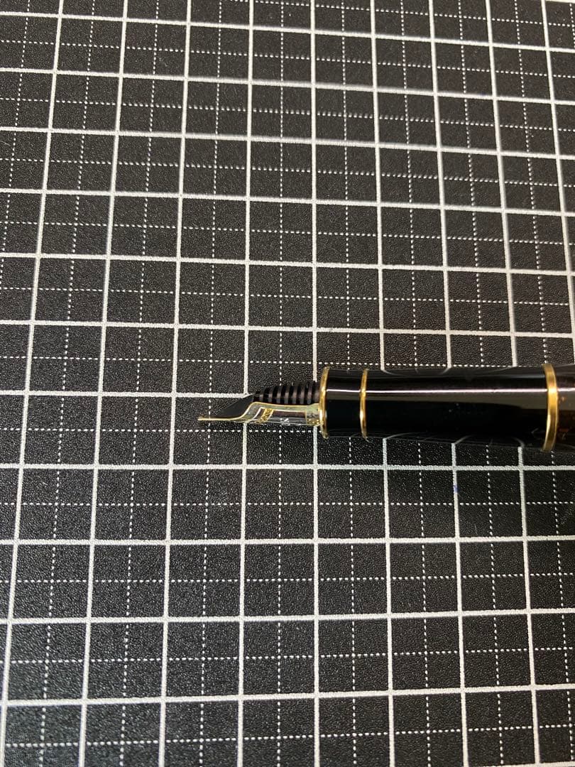 PARKER SONNET ビゾンフォンセ　純正漆　万年筆　字幅F