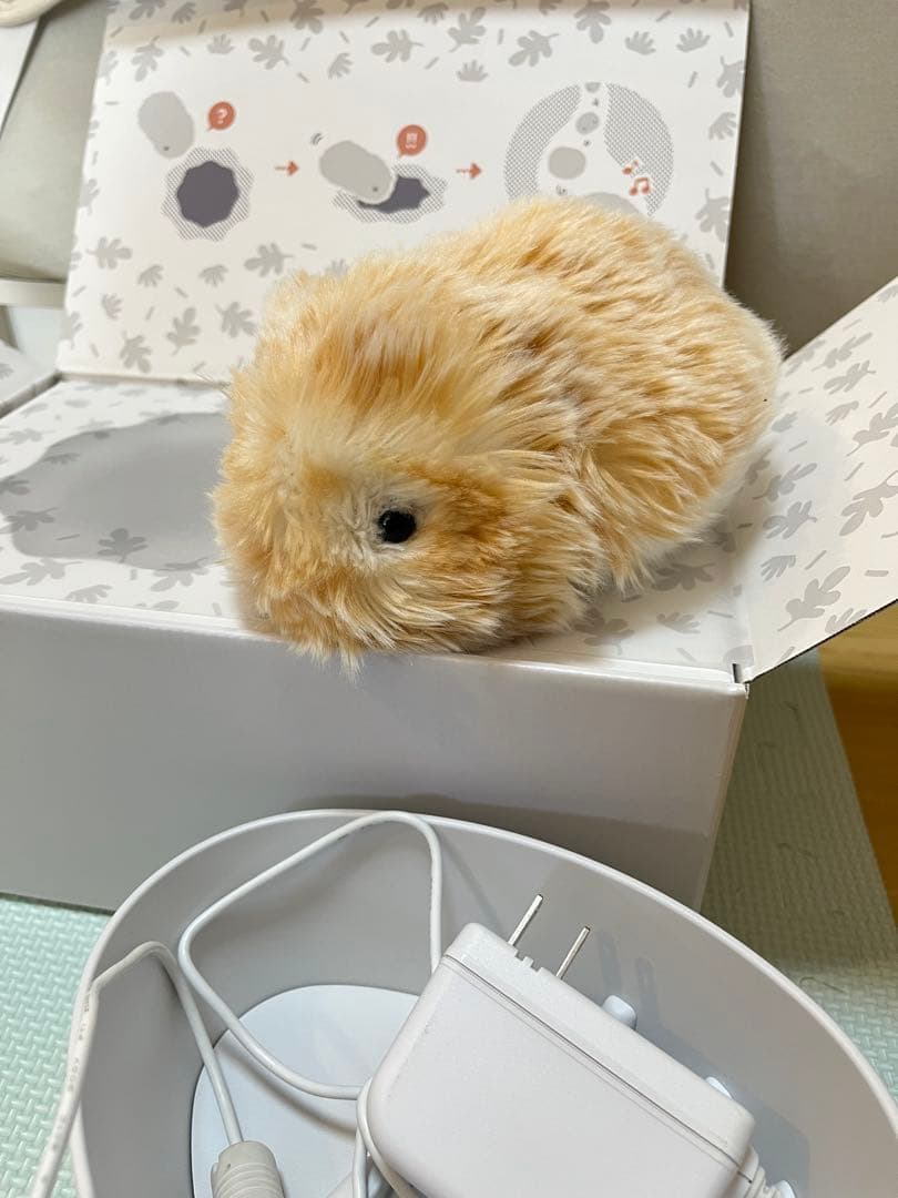 モフリン　ゴールド　CASIO