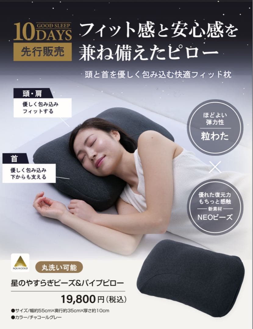 ファイテン ビーズ＆パイプピロー 丸洗い 枕 リカバリー 限定品 カバー付き