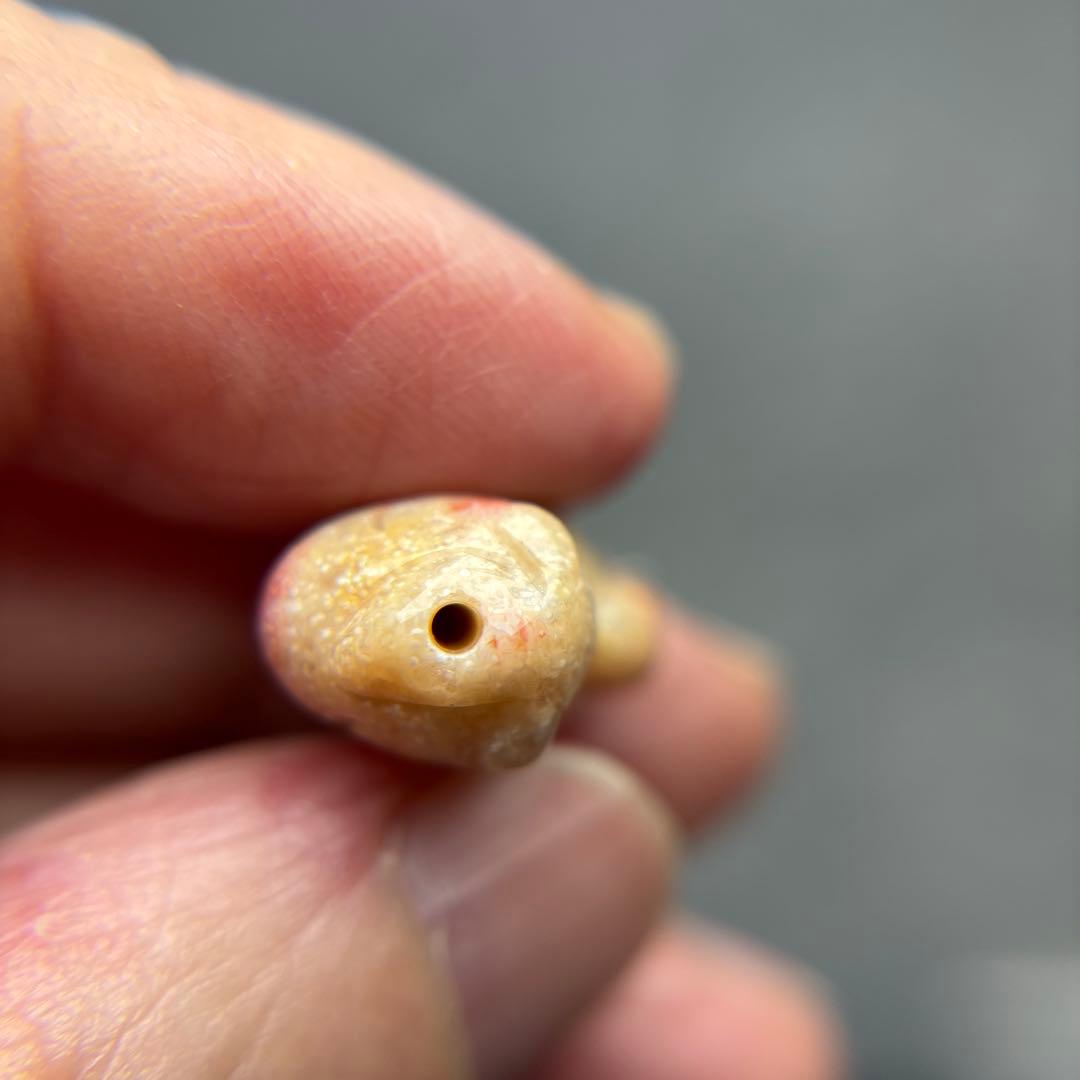 あずきちゃんフォッシルコーラル　馬パーツ　1-143