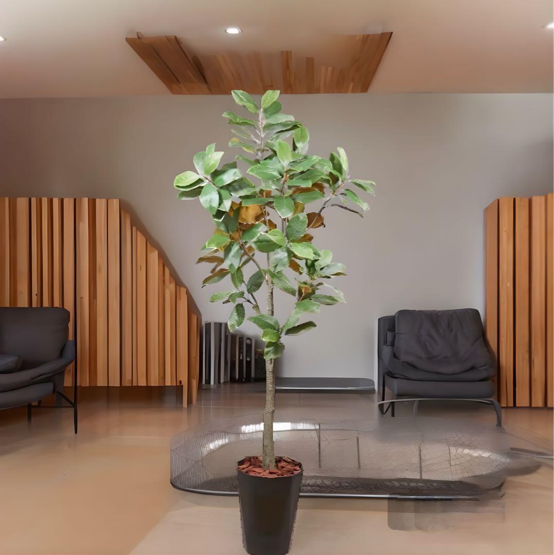 光触媒　人工観葉植物　ウォールグリーン　フェイクグリーン　フラワー　マグノリア2