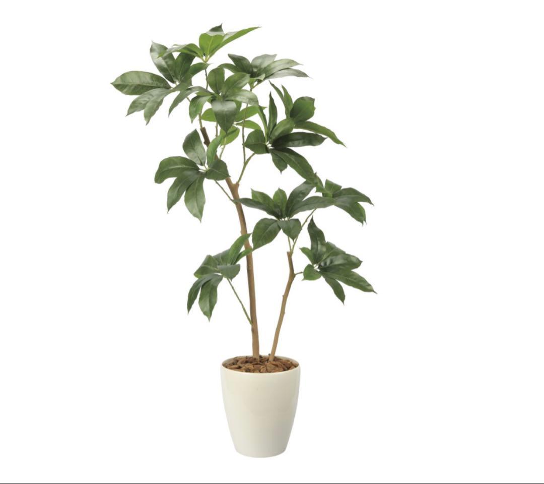 光触媒　人工観葉植物　ウォールグリーン　フェイクグリーン　ツピタンサス1.2