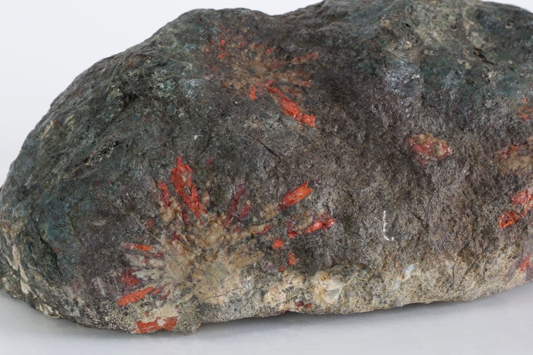 菊花石 花紋石 4.5kg 鑑賞石 原石 自然石 水石 盆石 景石 紋石 美石