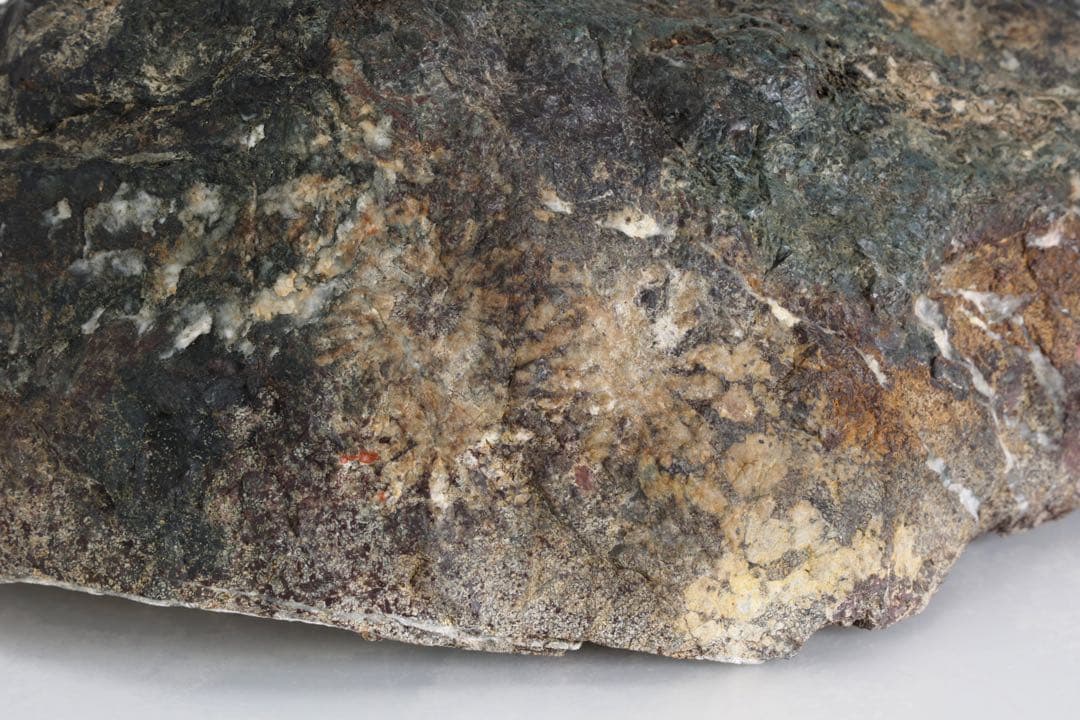 菊花石 花紋石 4.5kg 鑑賞石 原石 自然石 水石 盆石 景石 紋石 美石