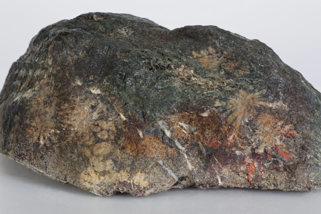 菊花石 花紋石 4.5kg 鑑賞石 原石 自然石 水石 盆石 景石 紋石 美石